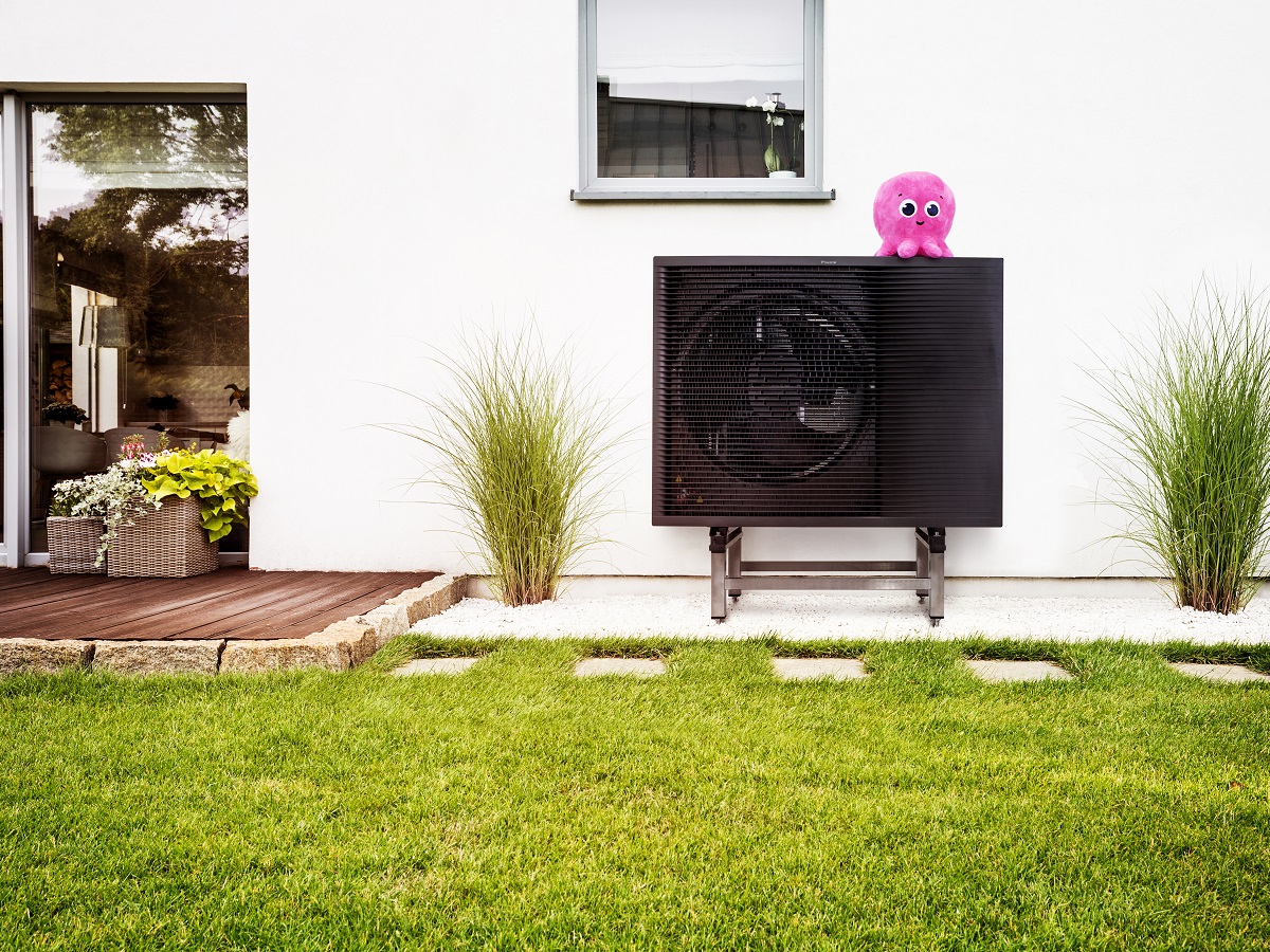 Garden with green grass and four bushes next to a house