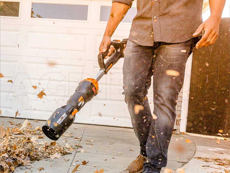 Worx-Laubblaeser-WG585E-1